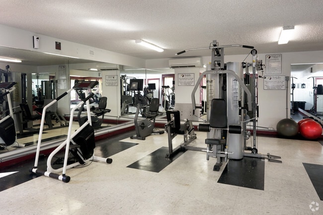 Gimnasio