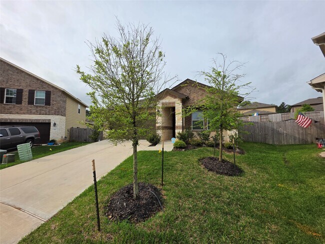 Photo - 229 Cresta Cv Ct