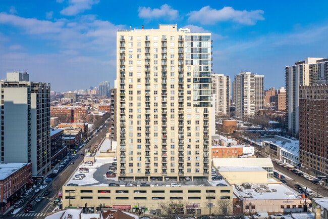 Photo - The Neapolitan