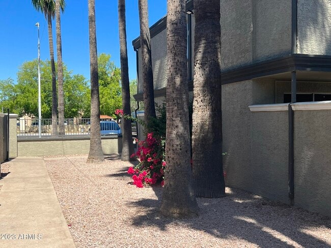 Photo - 2211 S McClintock Dr