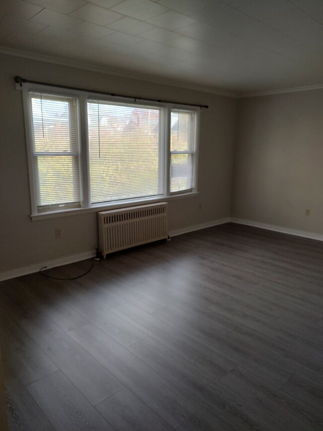 Living room window - 537 Sewickley St Unit #2 Rear