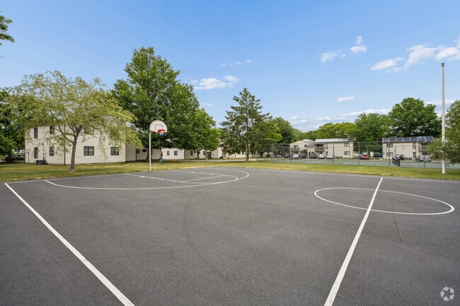 Basketball Court