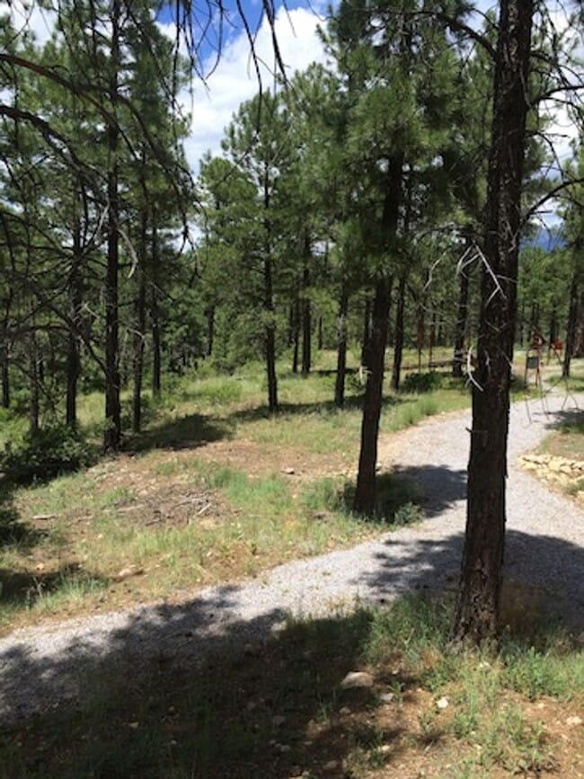 Photo - Sweet free standing home in Rio Home abutting forest and trail access