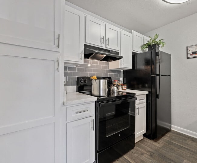 Photo - Mustang on the Trail