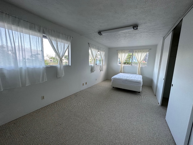 Photo - 173 Kuhilani St