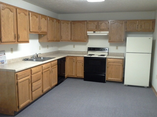 Kitchen - 1110 Madison Ave Unit 3