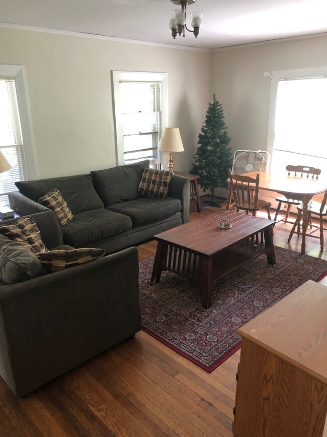 Sala de estar - 118 Schuyler Plz Unidad 1