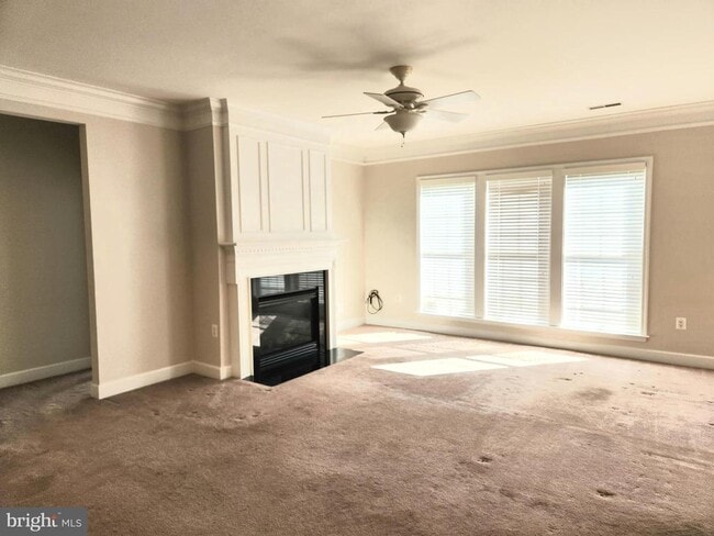 Photo - 20667 Golden Ridge Dr