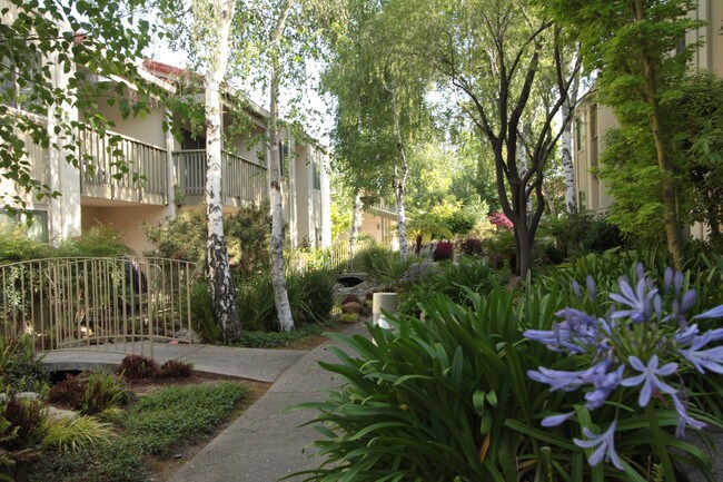 Garden Entries