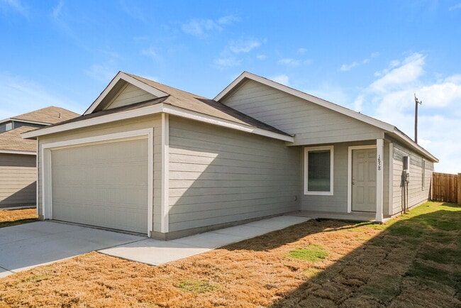 Photo - 1858 Musk Rose