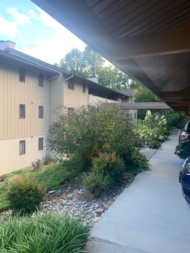 Photo - 224 Woodland Rd Unidad 102B