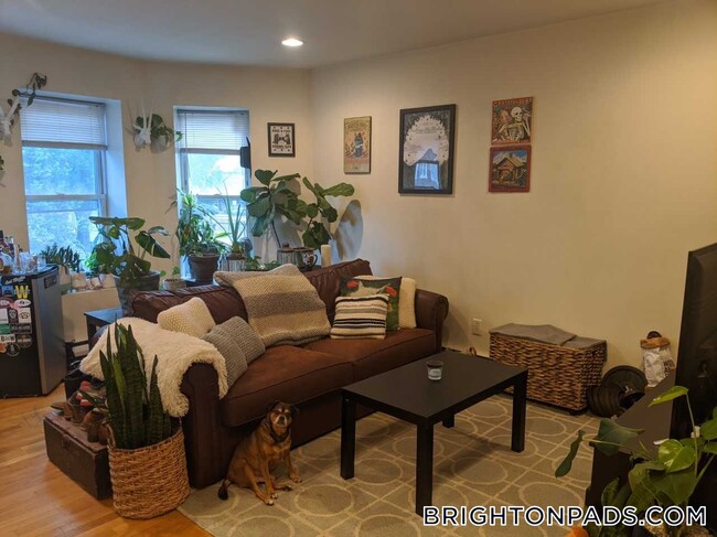Photo - 199 Strathmore Rd Apartment Unit 2