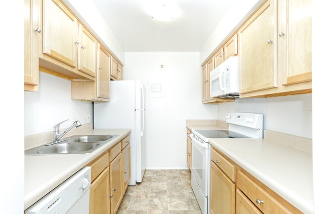 1HAB, 1BA - 670 ft² - Arbor Forest Apartments