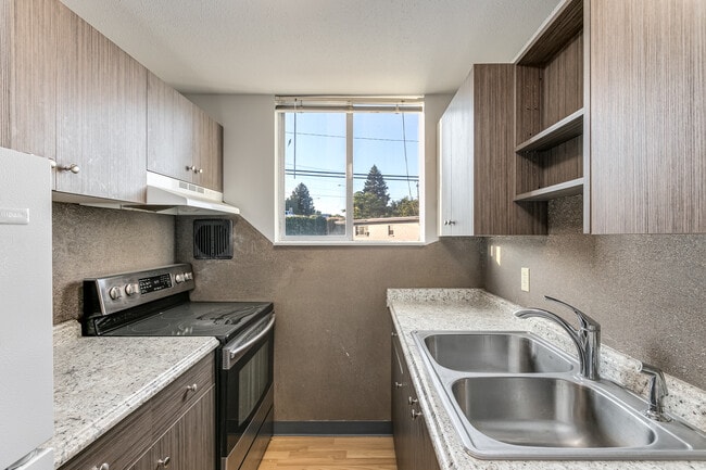 Photo - Dolphin Apartments