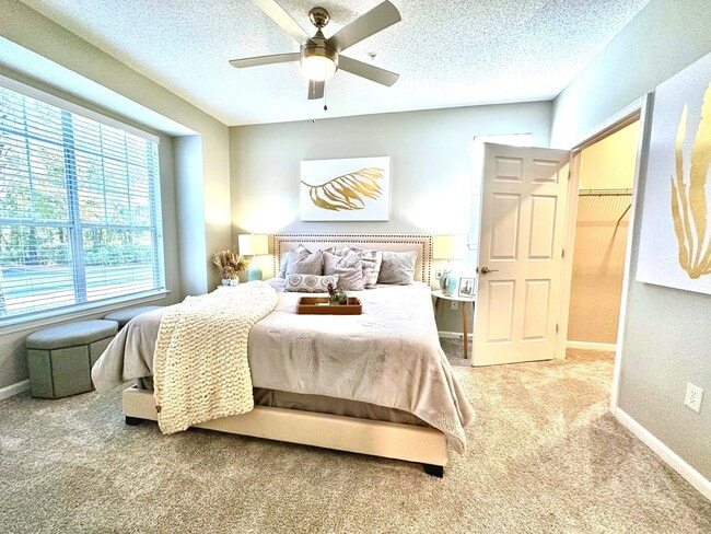 Photo - Avana Long Point