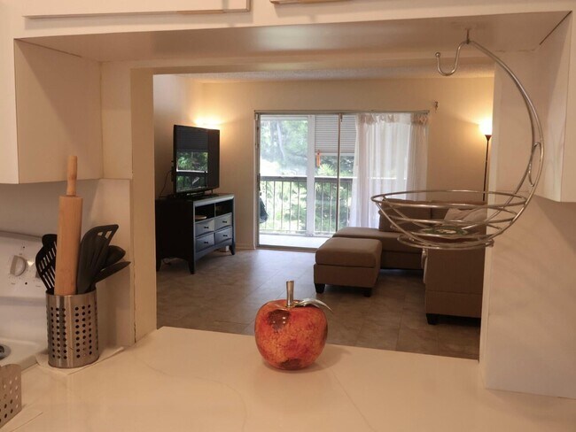 7080 Nova Dr Unit 307B