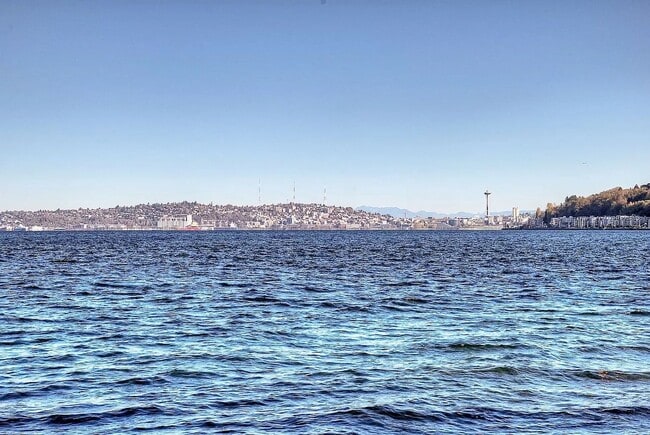 Photo - Location, Location, Location! - Modern one bedroom near Alki Point Lighthouse Unidad 13