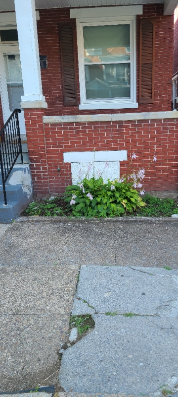 Photo - 1913 Bellevue Rd Apartamento Unidad 1