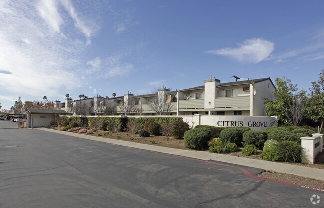 Citrus Grove Apartments - Citrus Grove Apartments