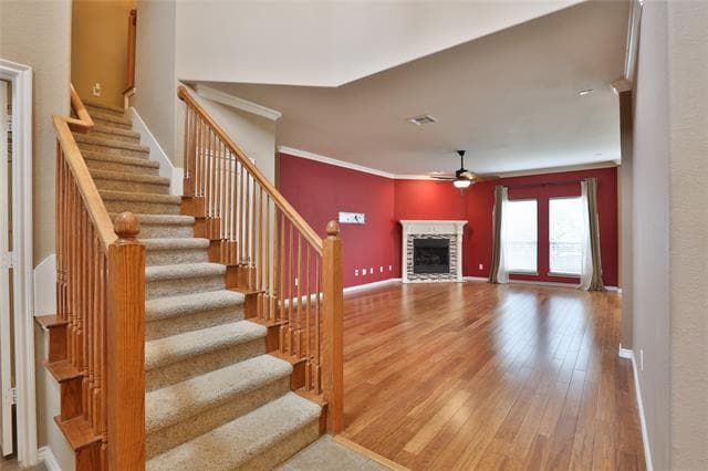 Photo - 11921 Kingsville Dr