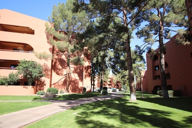 Photo - 4303 E Cactus Rd