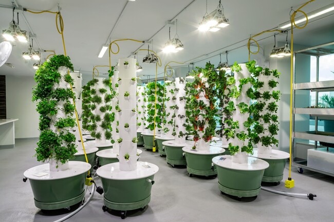 Photo - Liberty Towers