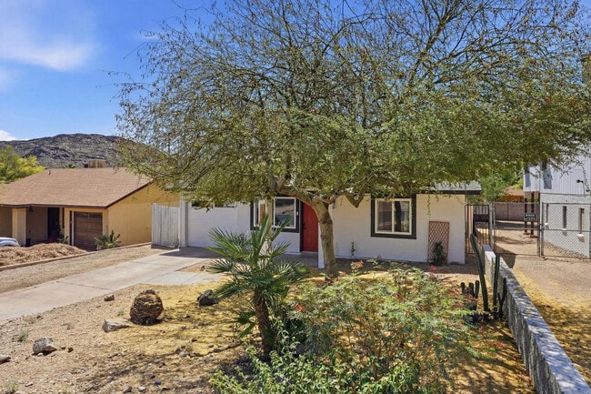 Photo - 1329 E Cholla St