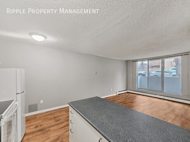 Photo - NEWLY RENOVATED 1 Beds, 1 Baths Apartment/Condo | No Pets Allowed Unité 102