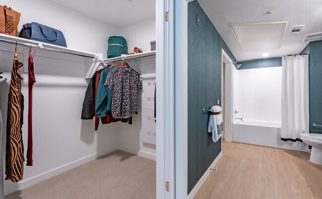 Large Closet and Bathroom