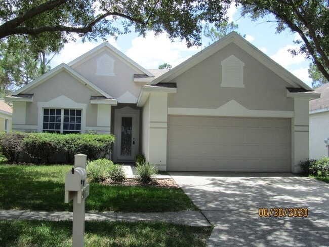 Building Photo - 4 Bedroom 2 Bath home in Hunter's Green/New Tampa