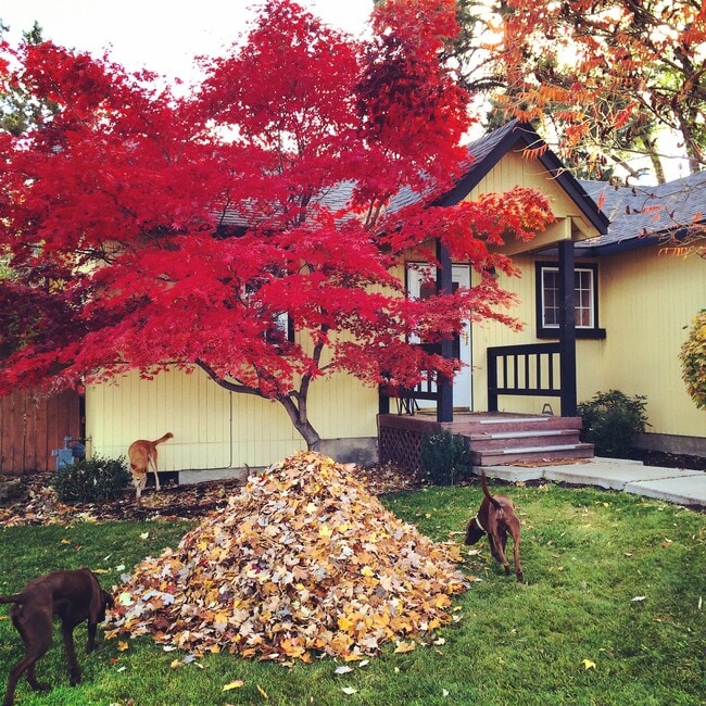 Photo - 1425 NE Mable Ct