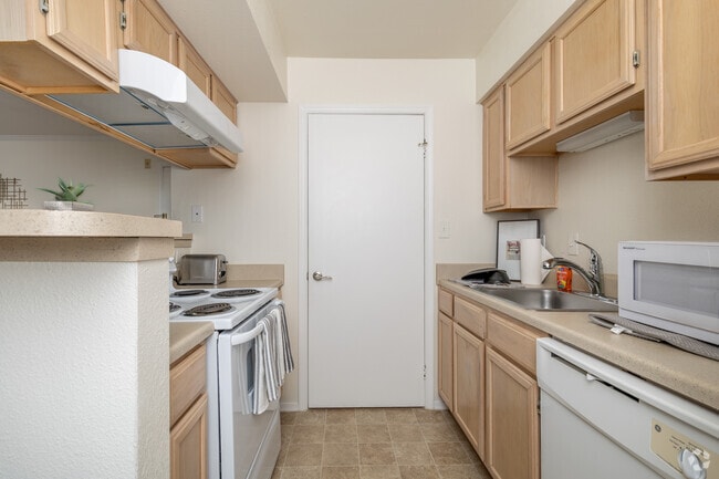 1BR, 1BA - 600SF - Kitchen