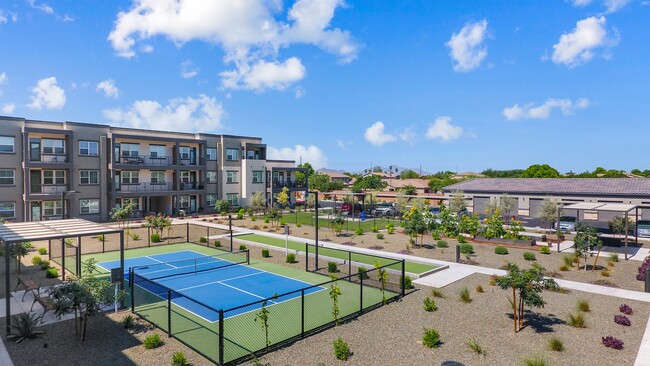 Amberlin Queen Creek 55+ Active Adult