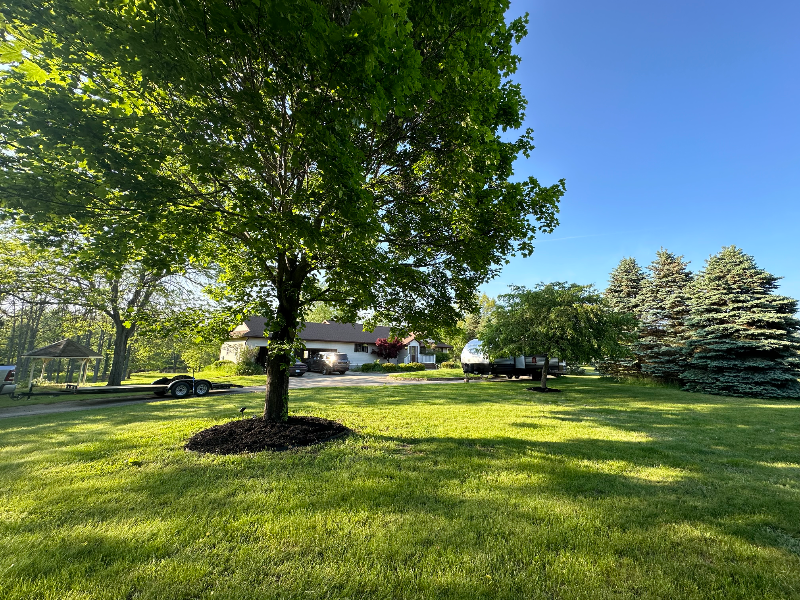 Photo - 10091 Barnes Rd