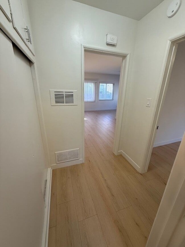 Photo - 459 Orange #10