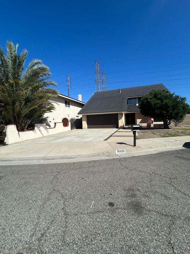 Spacious 4 Bed, 3 Bath for Rent - Westminster - Spacious 4 Bed, 3 Bath for Rent - Westminster