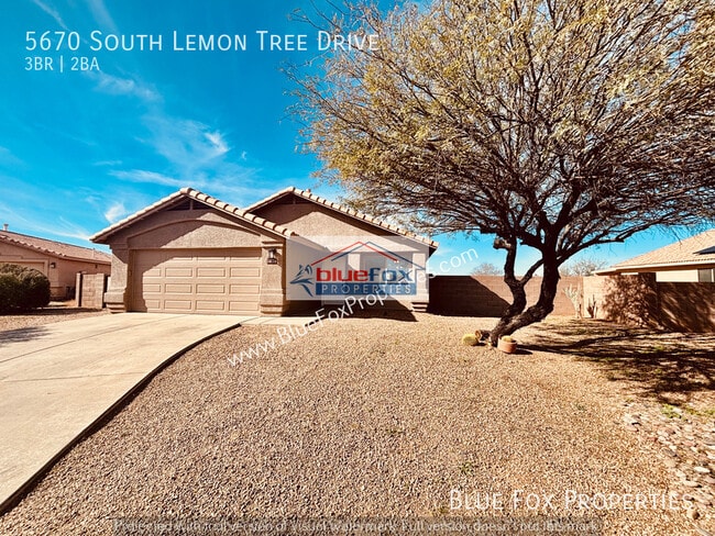 Building Photo - 5670 S Lemon Tree Dr