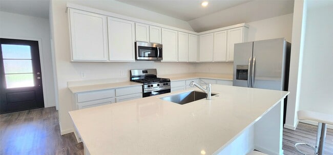 22566 Pagoda Dogwood Br Dr