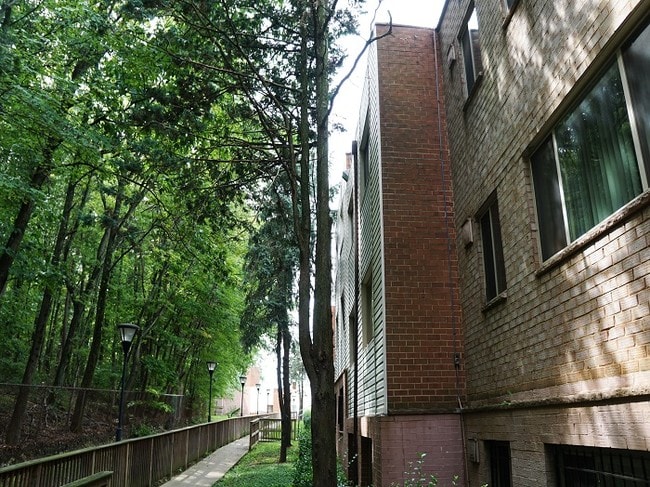 Kings Square Apartments