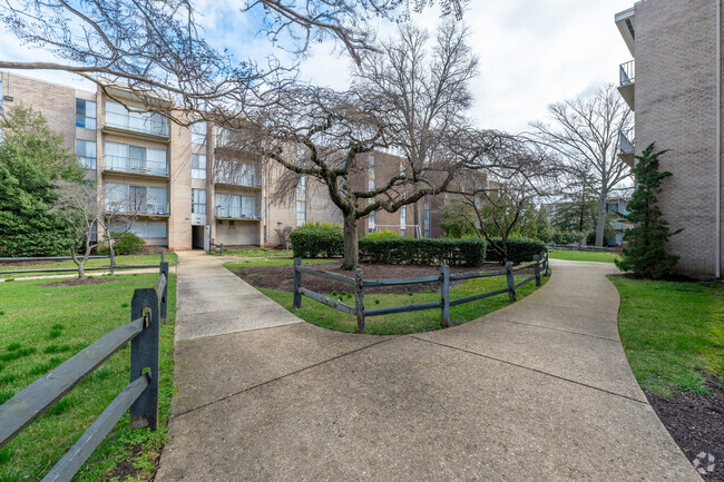 Forest Lake Apartments - Forest Lake Apartments