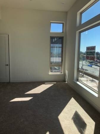 Photo - AVAILABLE NOW!! Brand New Age Developed Pr...