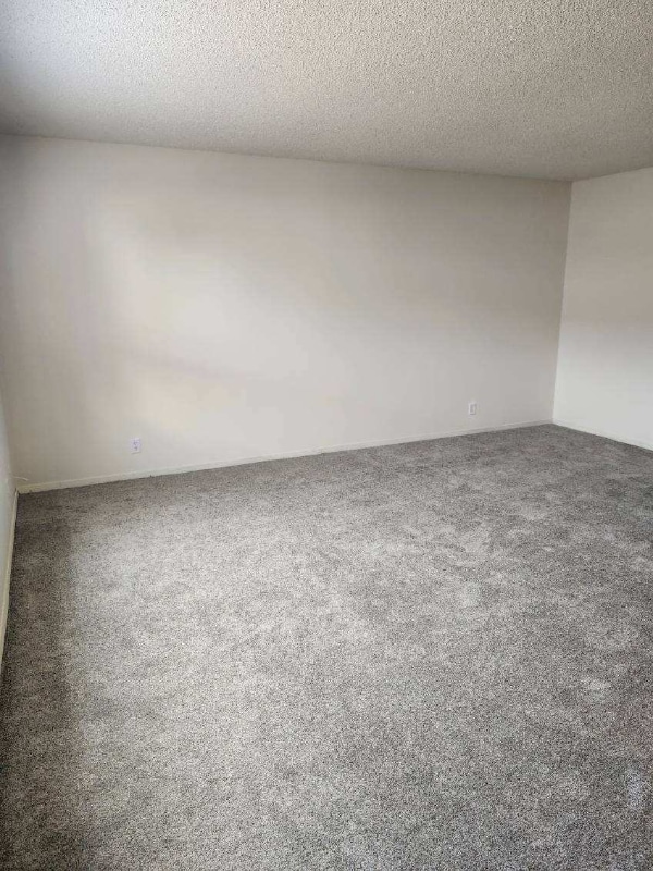 Photo - 911 Garfield St Unit 5