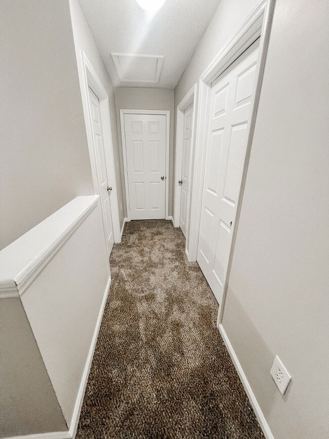 Carpeted hallway with neutral walls, multiple interior doors, overhead lighting, and access to bedrooms and storage areas