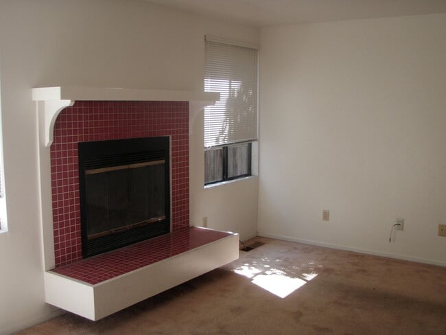 Photo - 651 Brizzolara #2