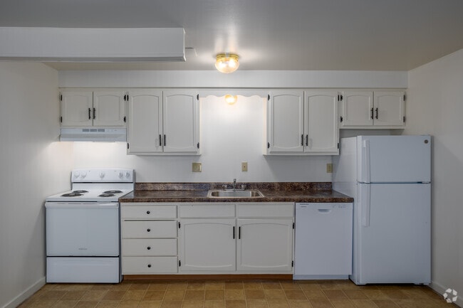 1BR, 1BA - 500SF - Kitchen