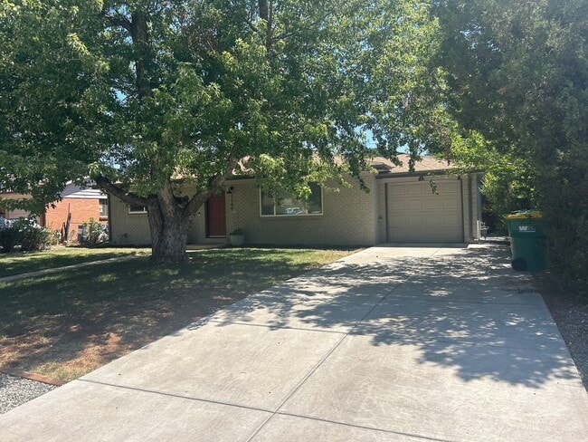 Building Photo - Updated 4 Bed Home with Finished Basement, Central A/C & Fenced Yard in Lakewood!