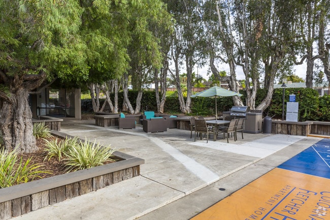 Colonnade at Fletcher Hills - Colonnade at Fletcher Hills