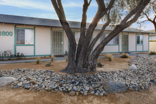 Building Photo - Stine Country Apartments
