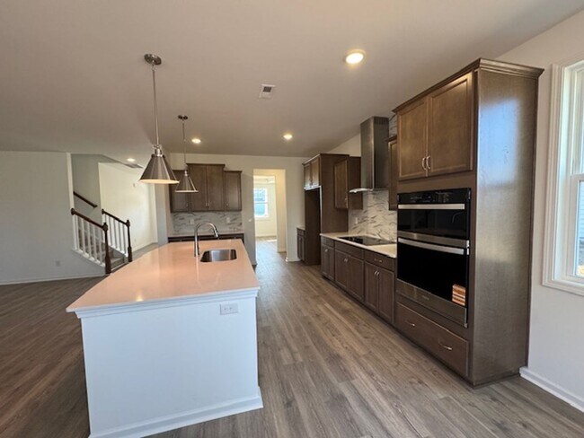 Photo - 2008 Red Woodpeckers Ct