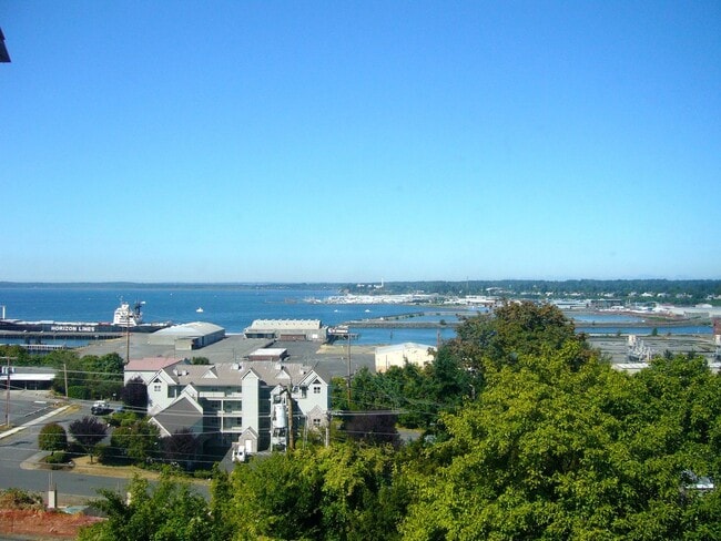 Photo - 2 & 4 Bedroom Apartments with Classic Char... Unit #B